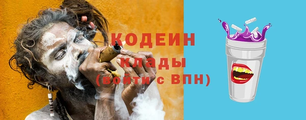 ГАЛЛЮЦИНОГЕННЫЕ ГРИБЫ Гусев