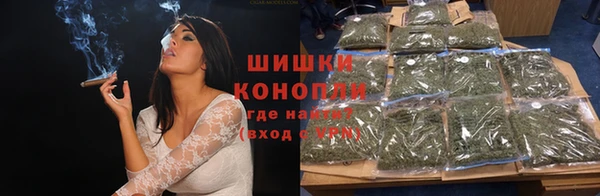 ГАЛЛЮЦИНОГЕННЫЕ ГРИБЫ Гусев