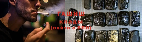индика Гусиноозёрск