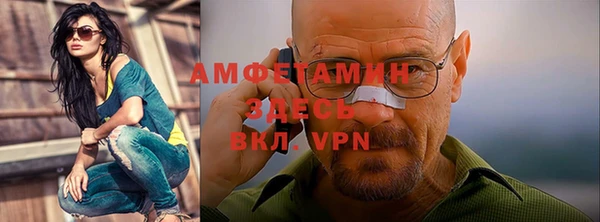 ГАЛЛЮЦИНОГЕННЫЕ ГРИБЫ Гусев