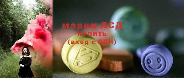 тгк Горнозаводск