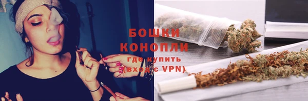 индика Гусиноозёрск