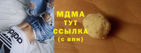 ГАЛЛЮЦИНОГЕННЫЕ ГРИБЫ Гусев
