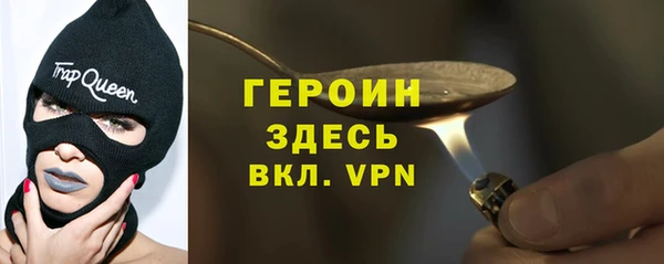 индика Гусиноозёрск