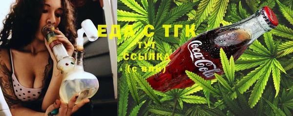 индика Гусиноозёрск