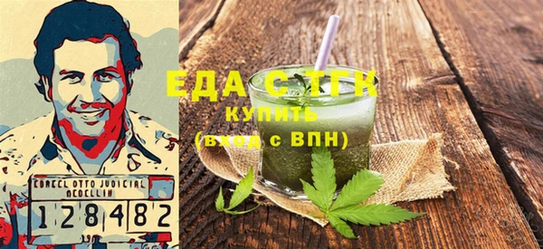индика Гусиноозёрск