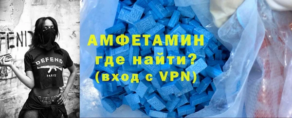 индика Гусиноозёрск