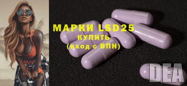 индика Гусиноозёрск