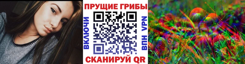 Купить где  Арск  Галлюциногенные грибы Magic Shrooms 