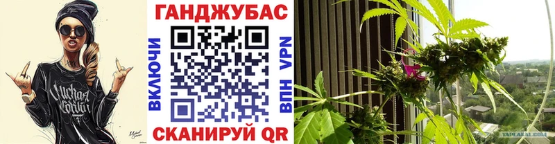 Купить где  Арск  Конопля Bruce Banner 